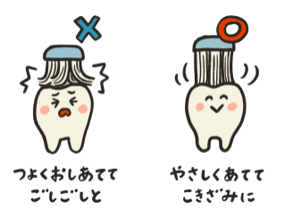 正しいブラッシング