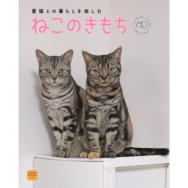 今週のネコ