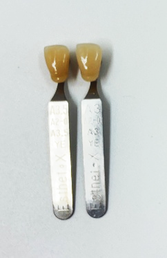 ホワイトニングの色見本